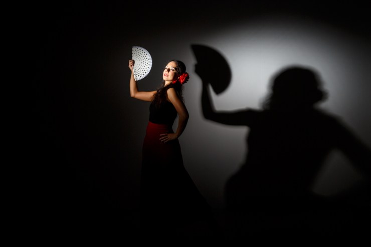 Flamenco Dancer South East England