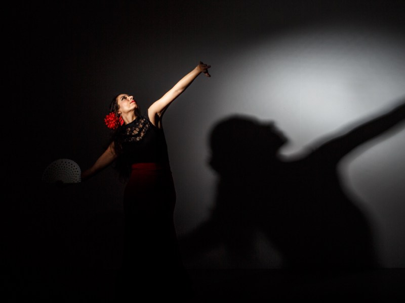 Flamenco dancer for a corporate Christmas party